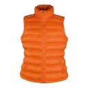 RT193F_orange