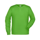 Daiber Men\'s Sweat_8022 grün_web