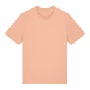 PFM0_STTU169_C101