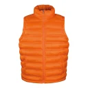 RT193_orange