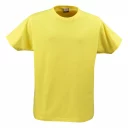 2264020_lemon
