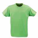 2264020_lime